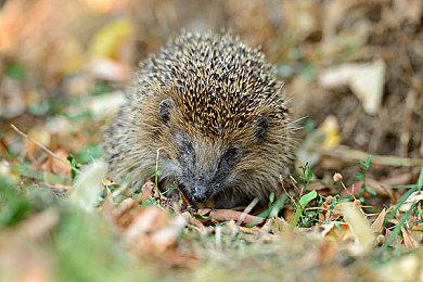变着花样玩一年  《超神不止一条路》首发KK对战平台
